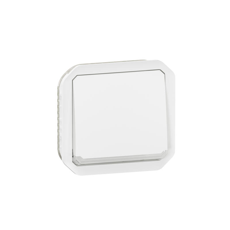 069613L, Legrand