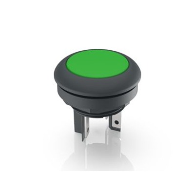 1.15.210.101/2501, RAFI