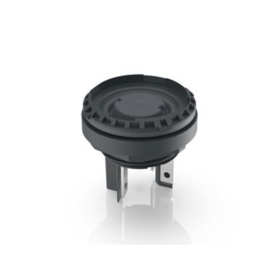 1.15.210.910/0000, RAFI