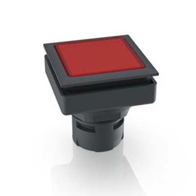 1.30.090.251/0300, RAFI