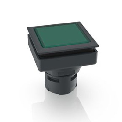 1.30.090.251/0500, RAFI