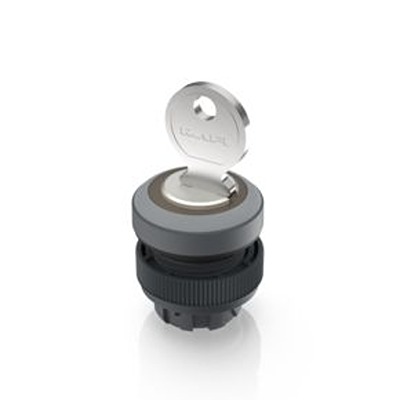 1.30.245.301/0800, RAFI