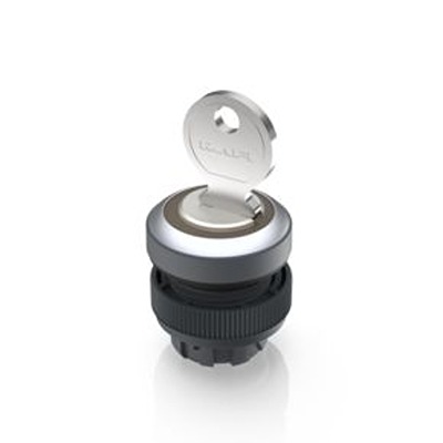 1.30.245.324/0000, RAFI