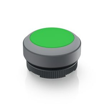 1.30.270.001/2508, RAFI