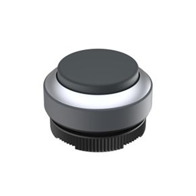 1.30.270.231/0100, RAFI