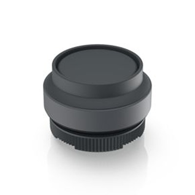 1.30.270.401/0101, RAFI