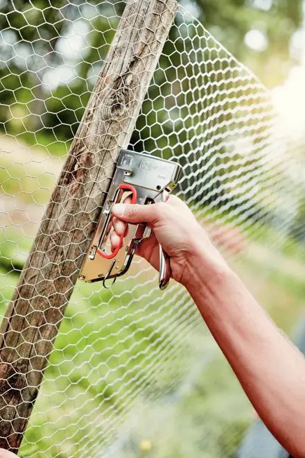 10602125, Rapid Agrafage