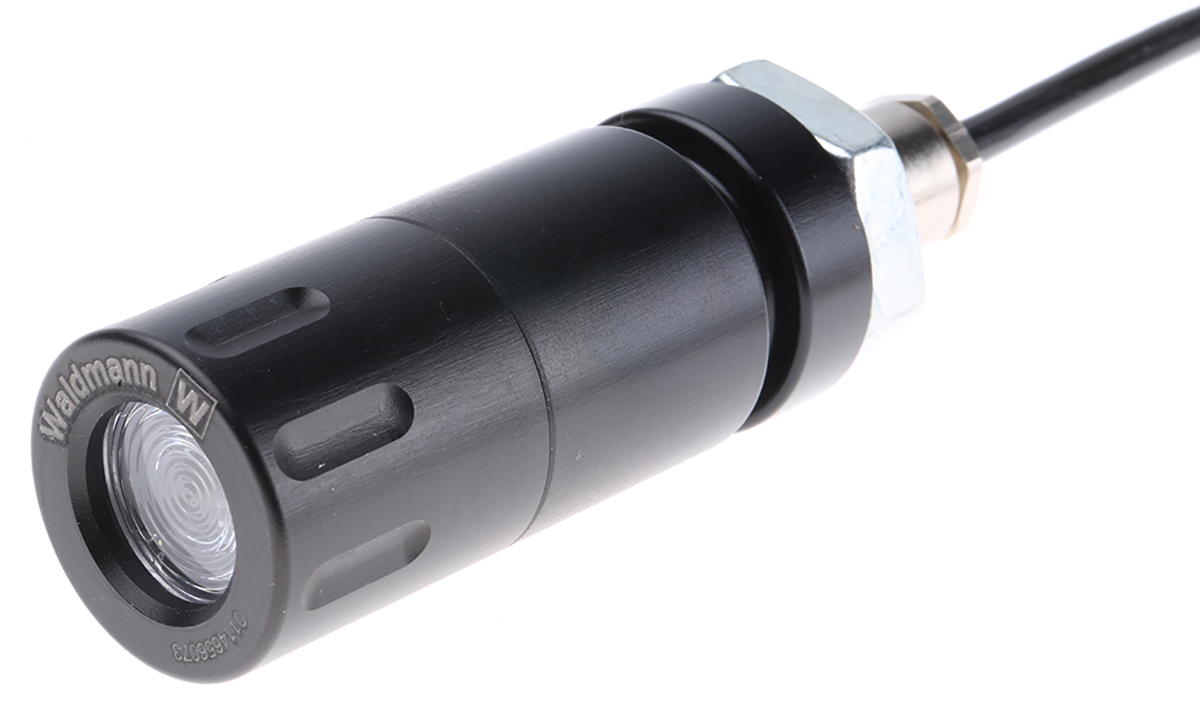 112353001-00041941, Waldmann