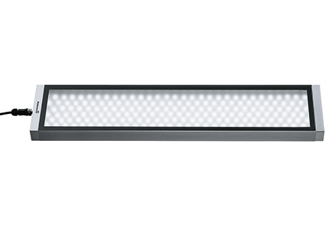 112574000-00608680, Waldmann