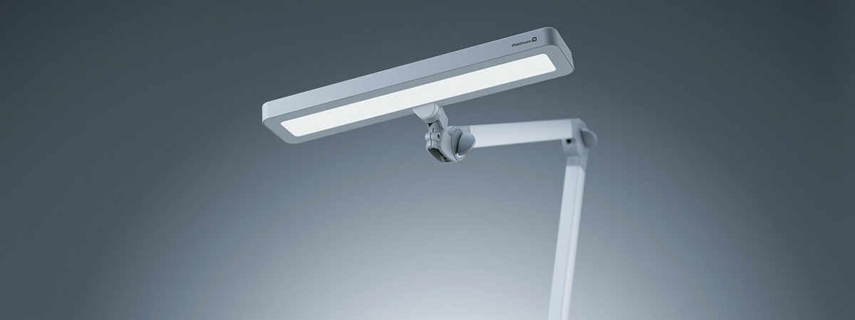 113686000-00807322, Waldmann