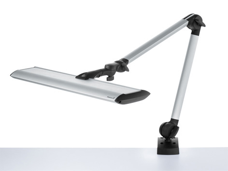 113736000-00809767, Waldmann