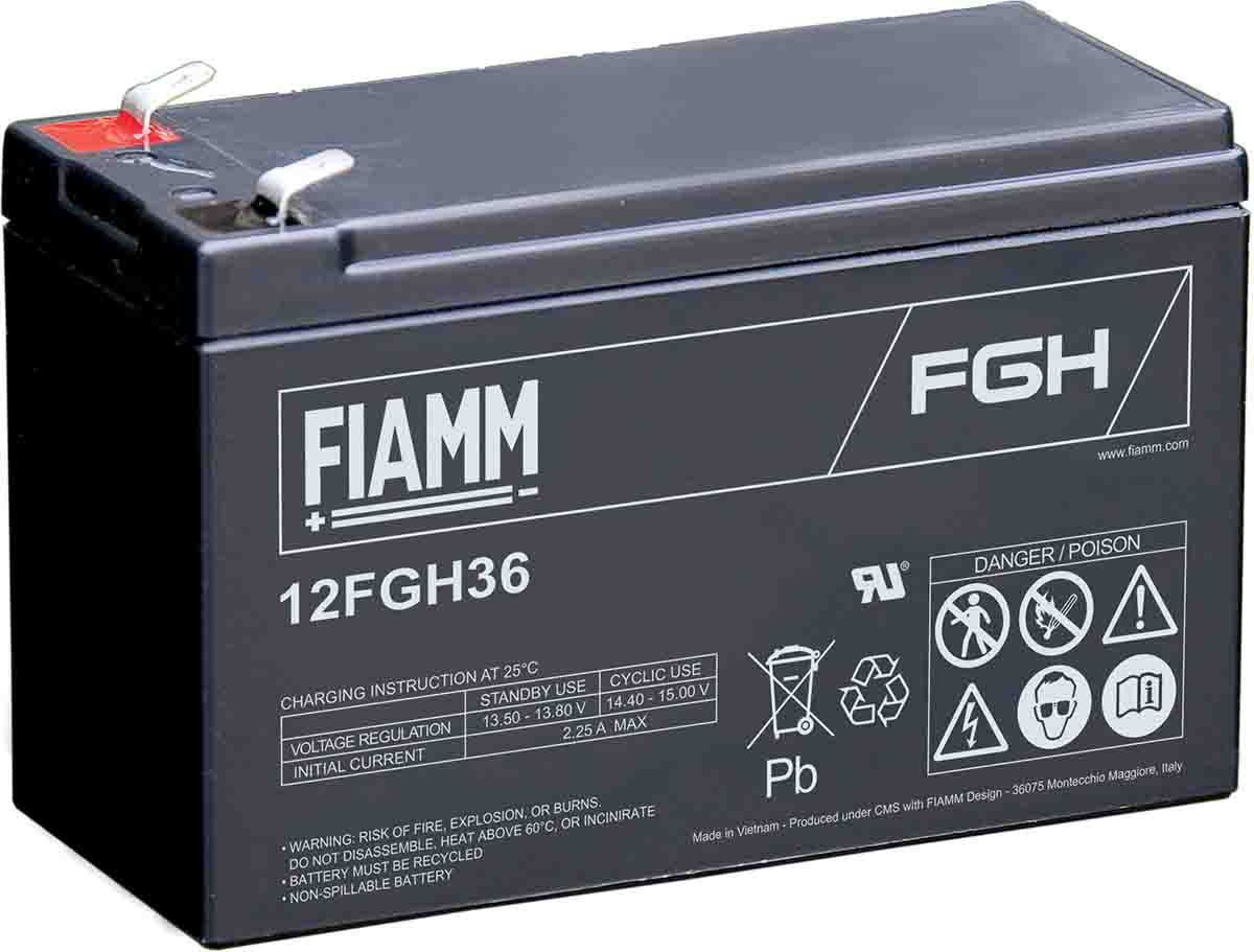 12FGH36, Fiamm