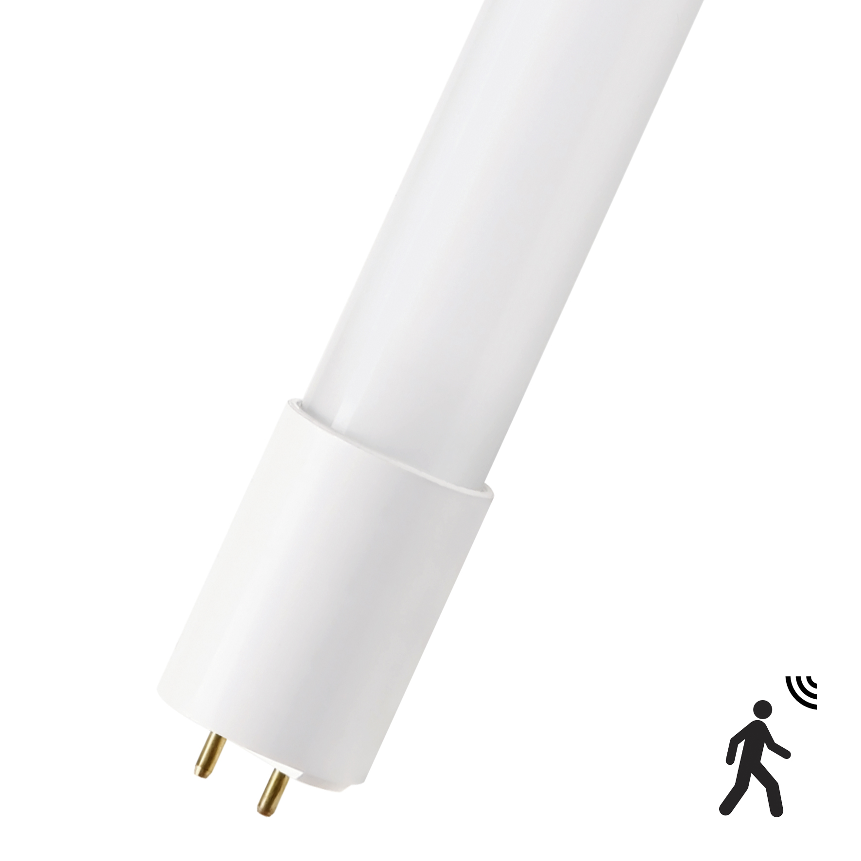 146347, Bailey Electric & Electronics bv