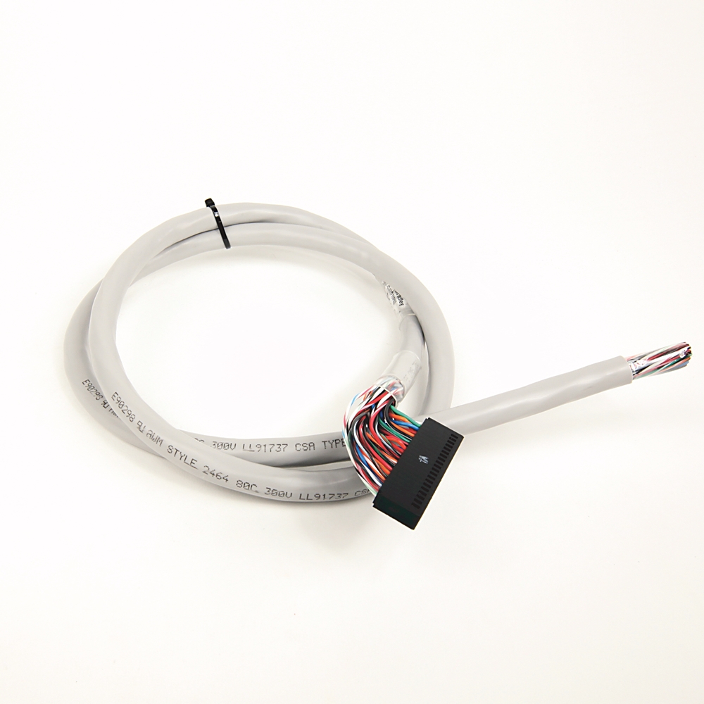 1492-CAB010P62, Allen Bradley