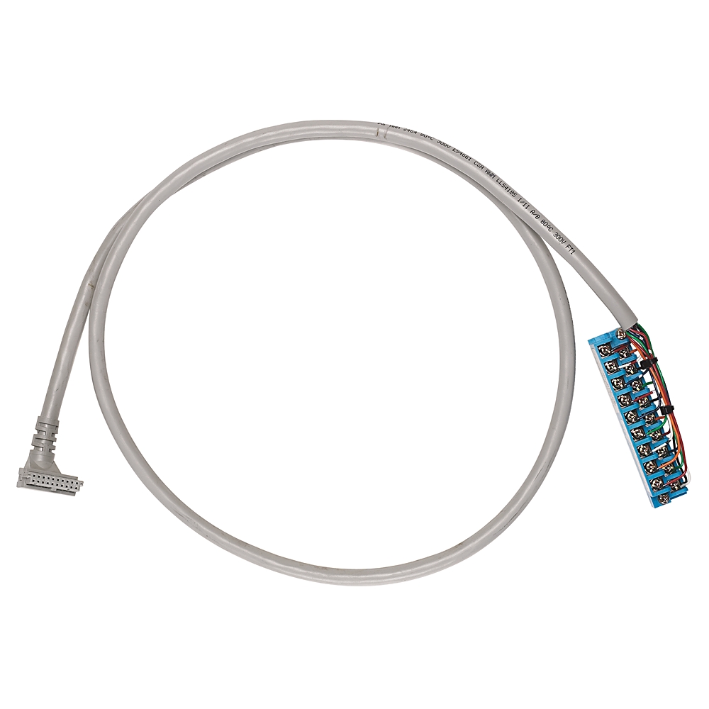 1492-CABLE010E, Allen Bradley
