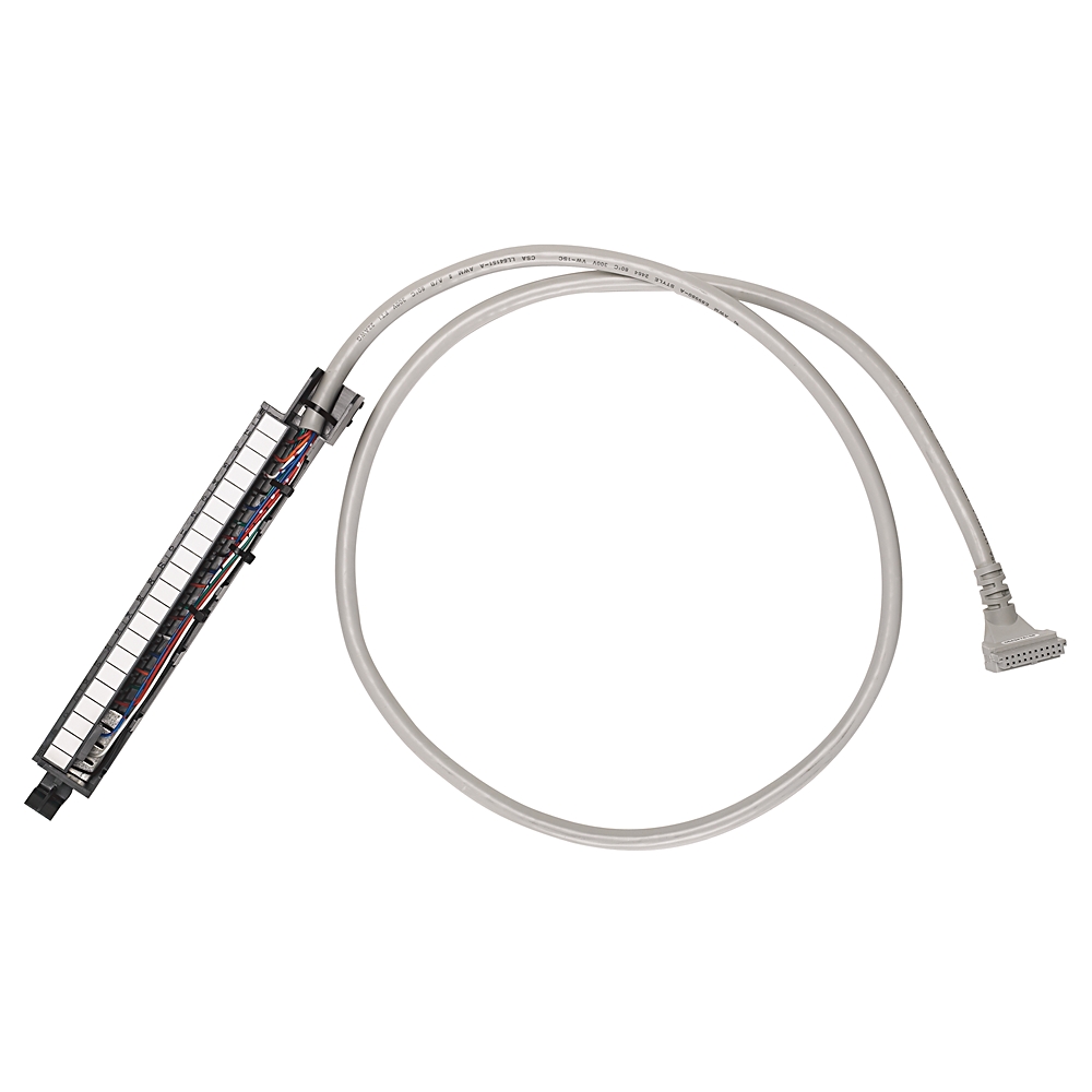 1492-CABLE010F, Allen Bradley