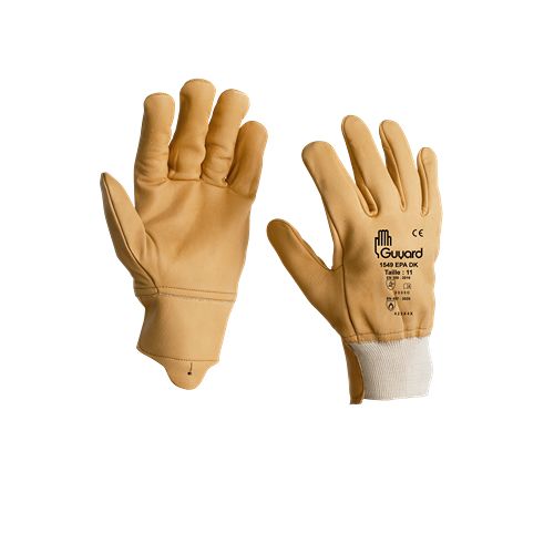 1549 EPA DK T8, GUYARD