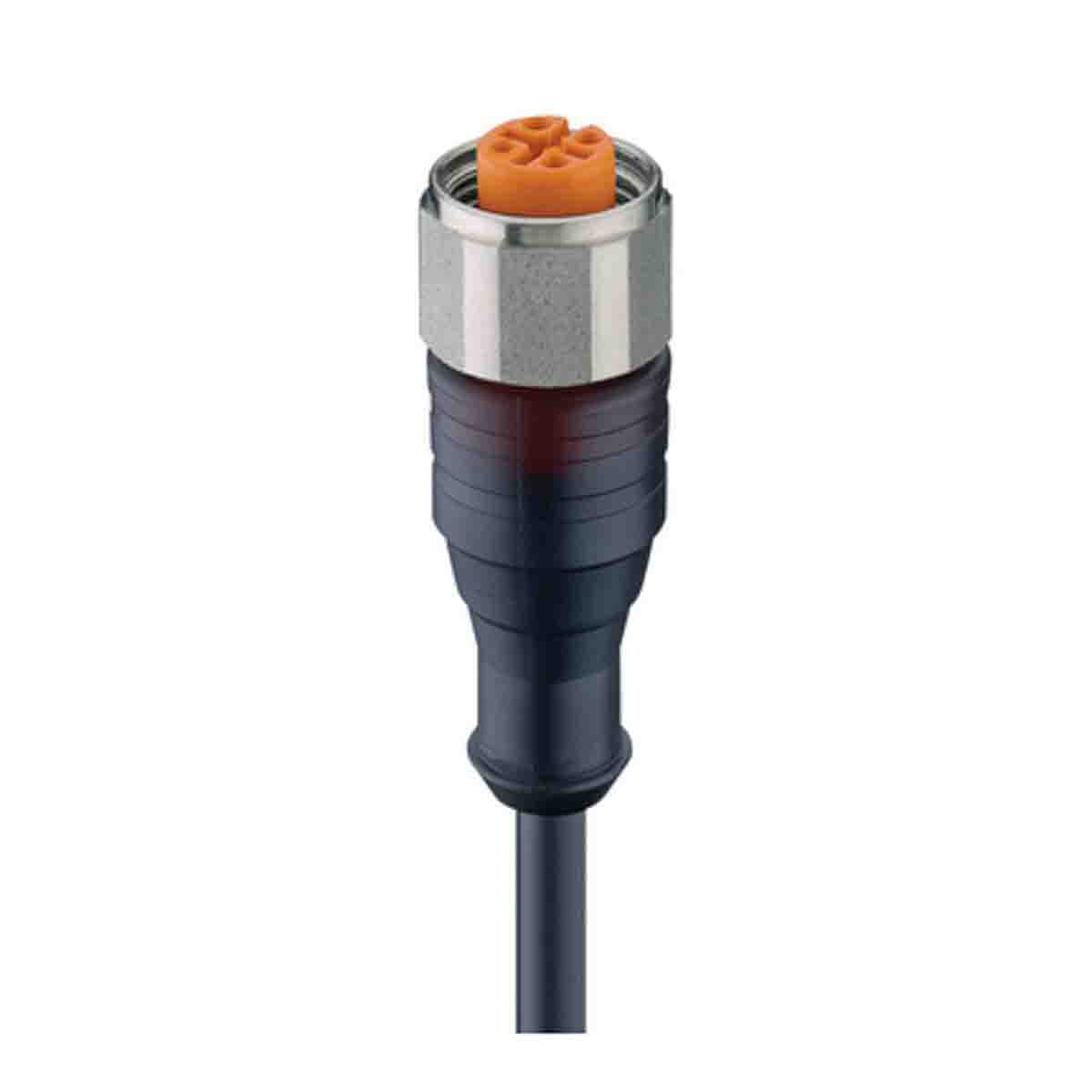 16058 RKTN 4-225/0,3 M, Lumberg Automation