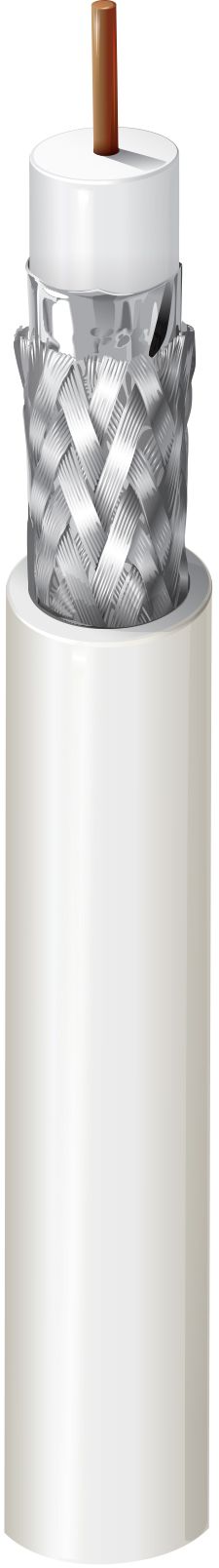 1694ANH.00305, Belden