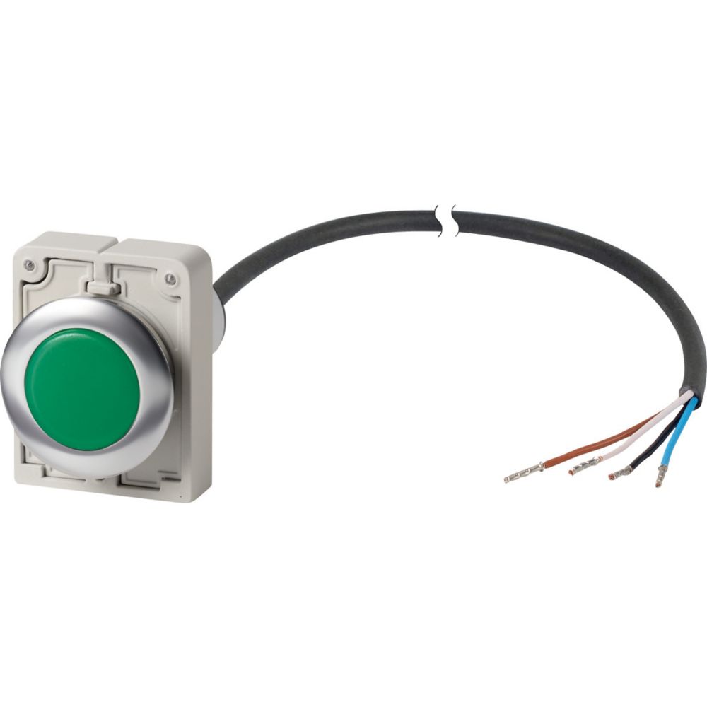 185954 C30C-FL-G-24-P62, Eaton