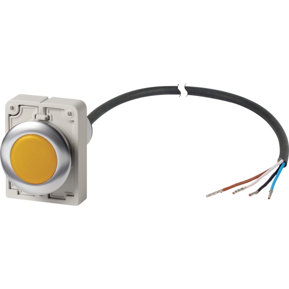 186071 C30C-FL-Y-24-P65, Eaton