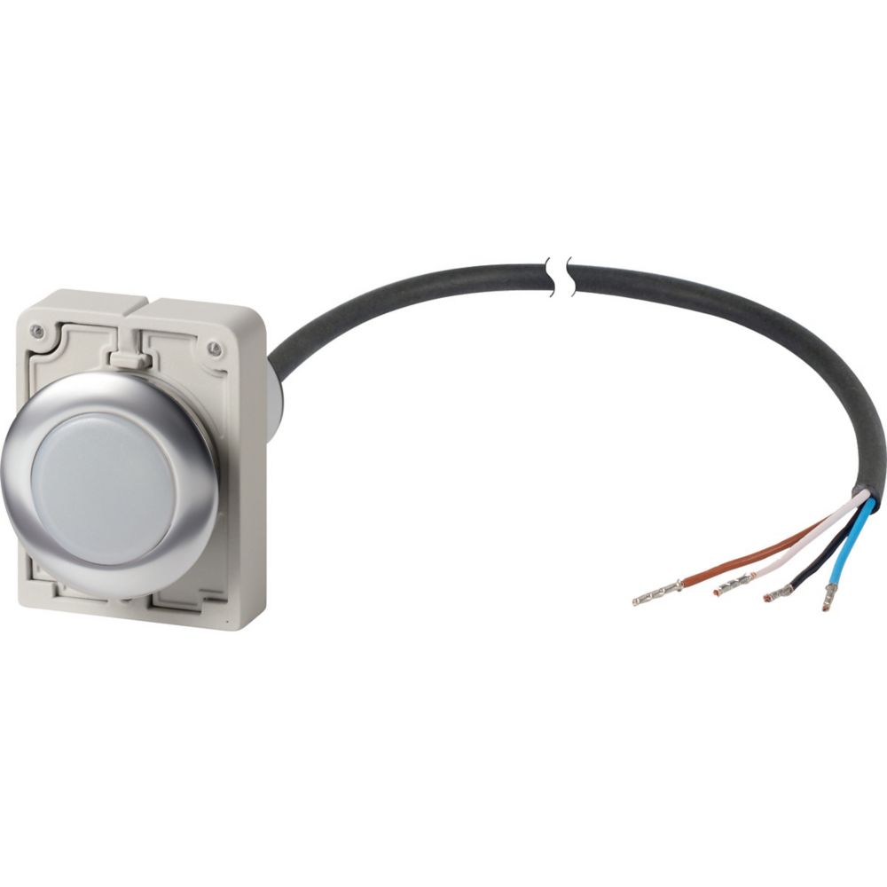 186072 C30C-FL-W-24-P65, Eaton