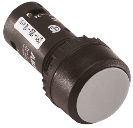 1SFA619100R1015  CP1-10W-10, ABB