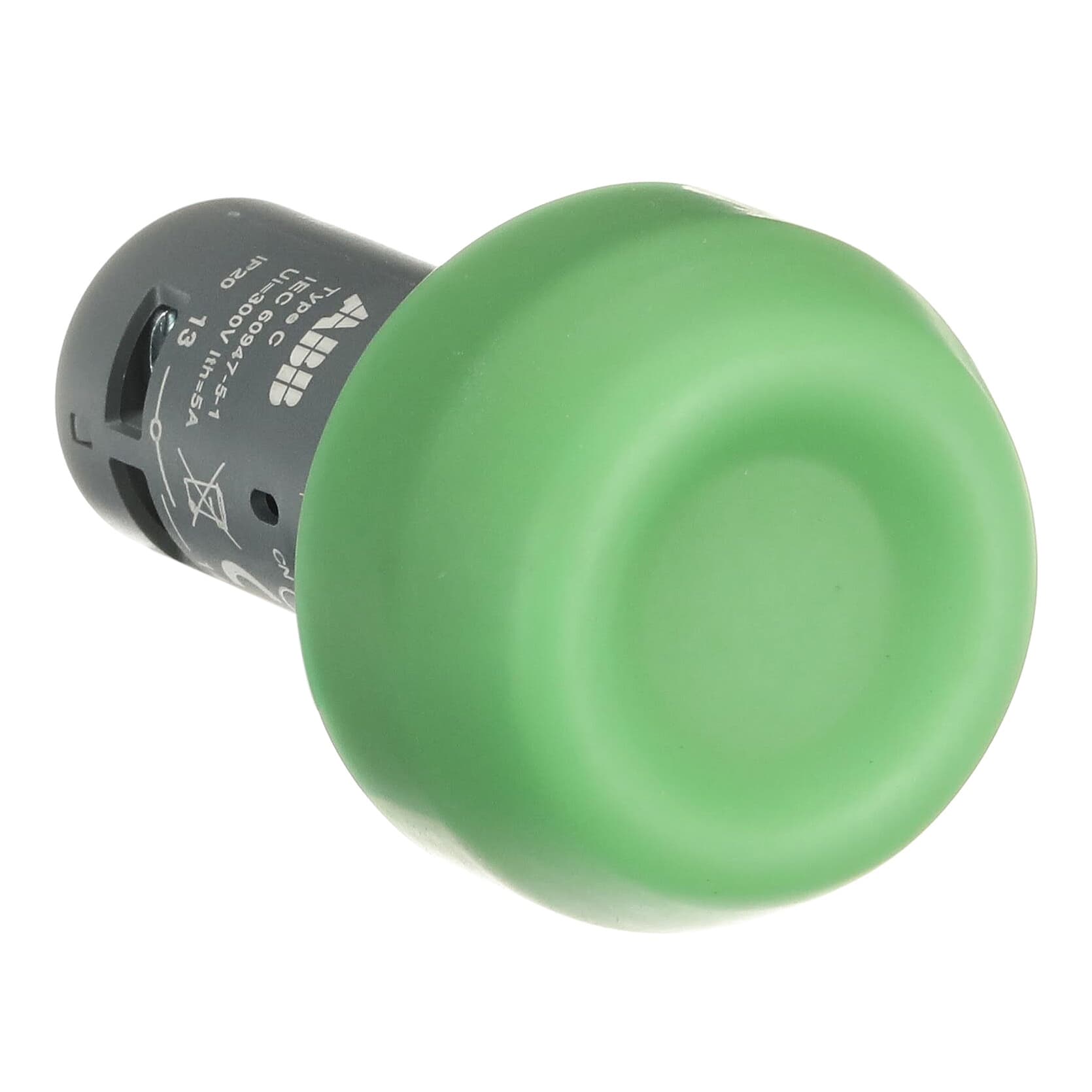 1SFA619105R1022  CP6-10G-20, ABB