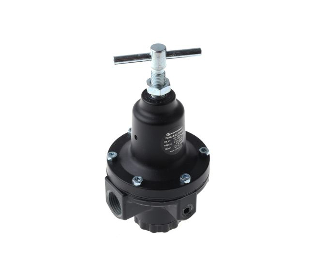 20AG-X4G-PH103, Norgren