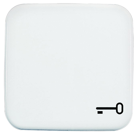 2520 TR-214, Busch Jaeger - ABB