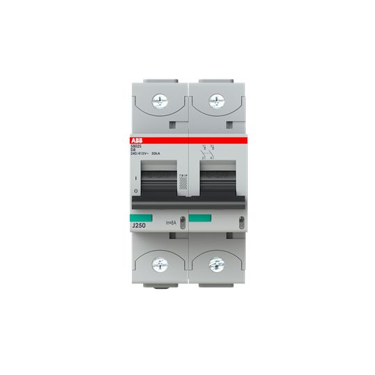 2CCS862001R0081, ABB