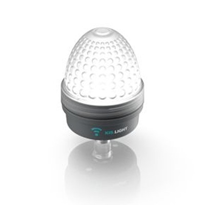 3.00.001.101/0000, RAFI