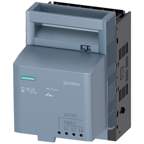 3NP1123-1CA24, Siemens