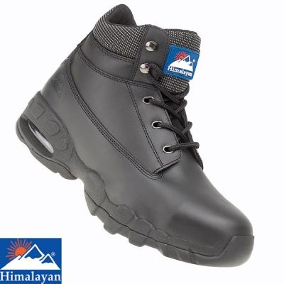 4040BK070, Himalayan