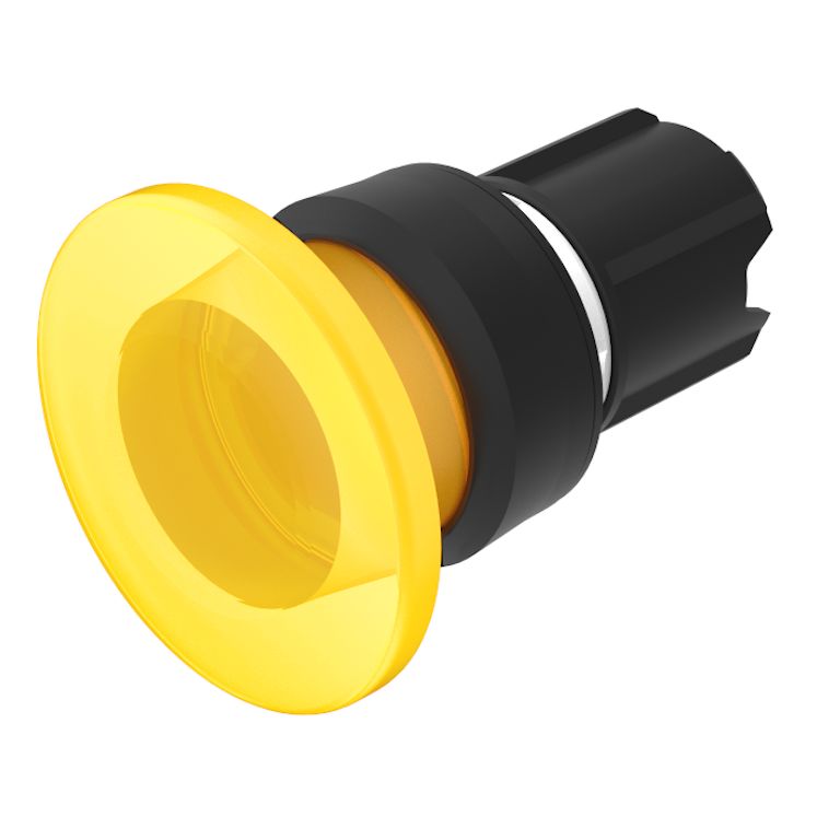45-2631.19G0.000, EAO