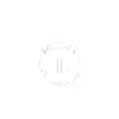 5.49.255.002/1000, RAFI