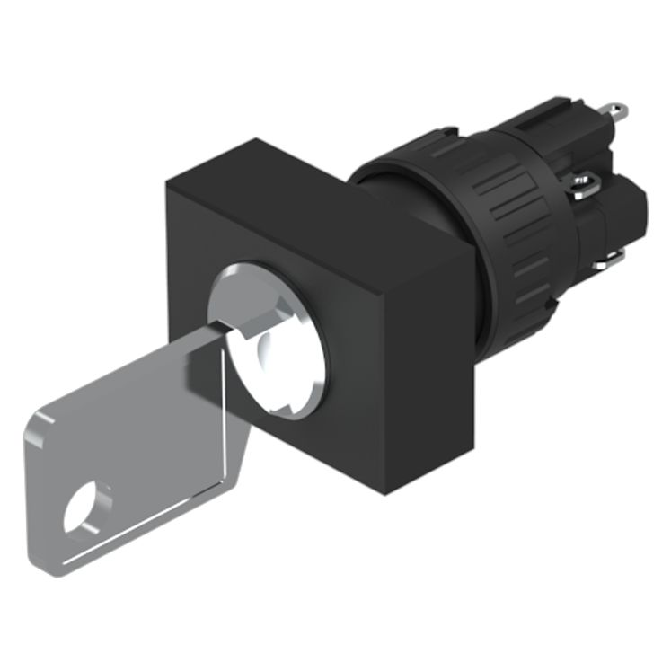51-295.025D2F, EAO
