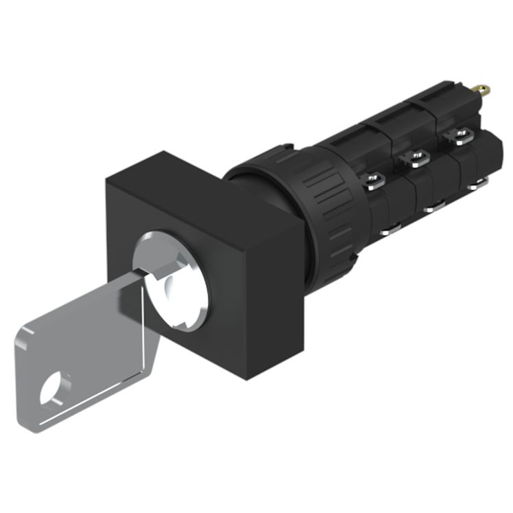 51-297.025D2F, EAO