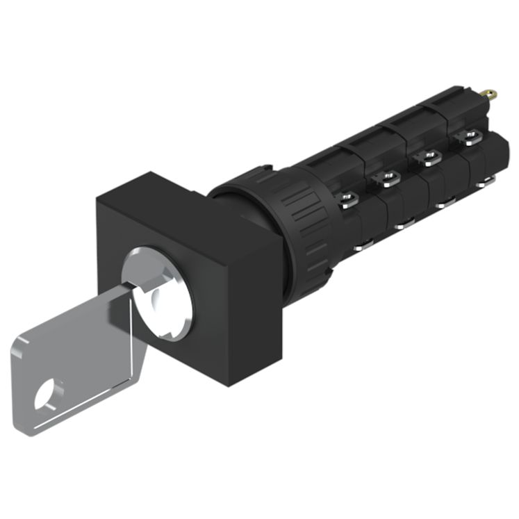 51-298.025D2F, EAO