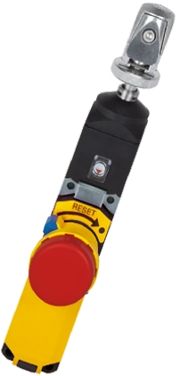 570302, Pilz