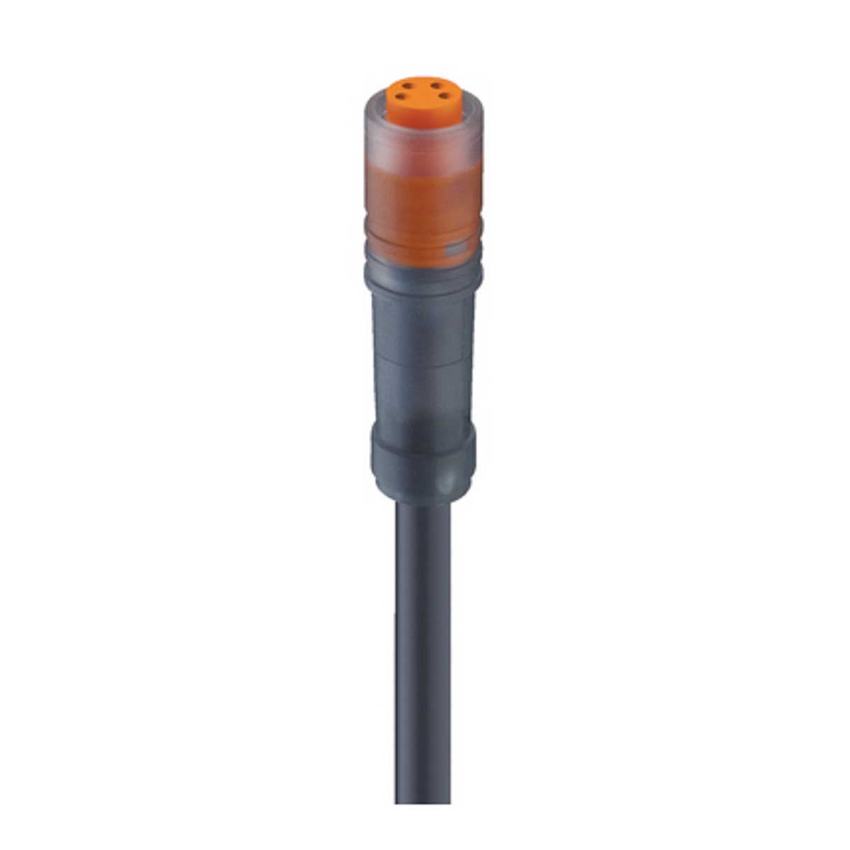 59551 RKM 4-329/3 M, Lumberg Automation