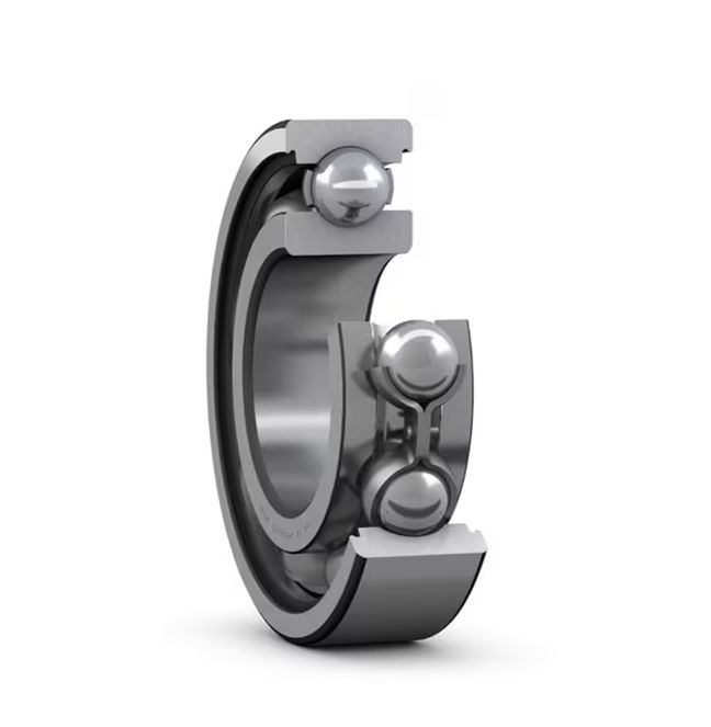 6009, SKF