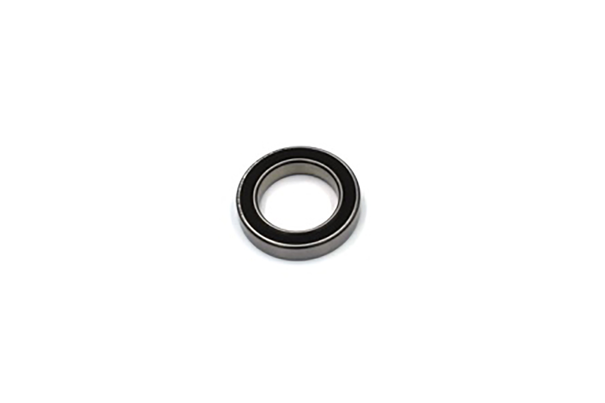 61901-2RSR-HLC, INA