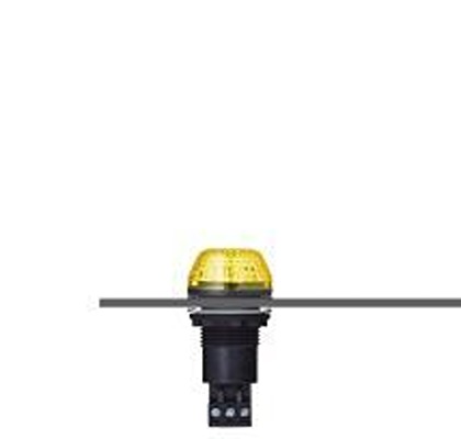 800507313, AUER Signal