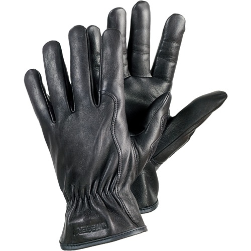 8555T-11, Tegera