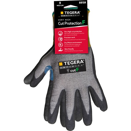 8815R-6, Tegera