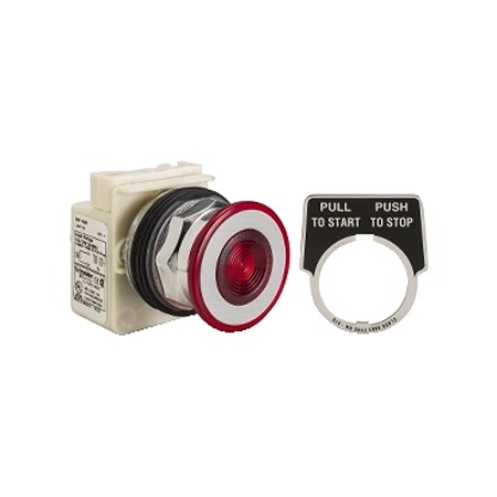 9001KR9P1R, Schneider Electric