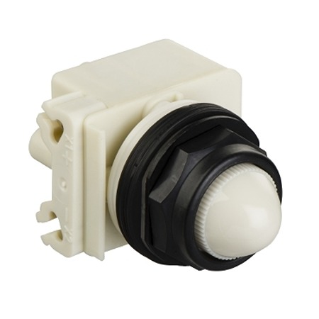 9001SKP38LWW9, Schneider Electric