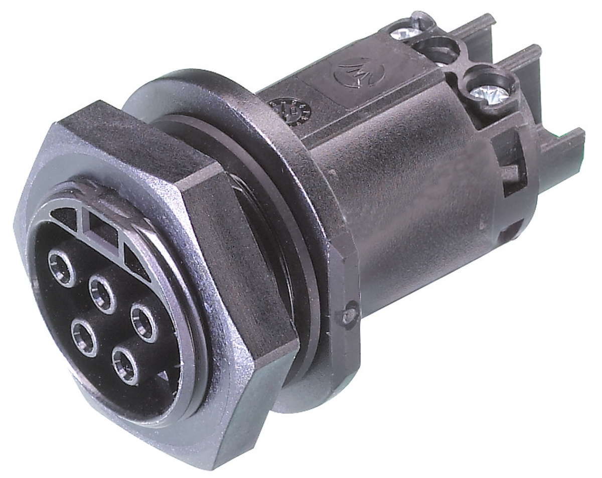 96.051.5053.1, Wieland