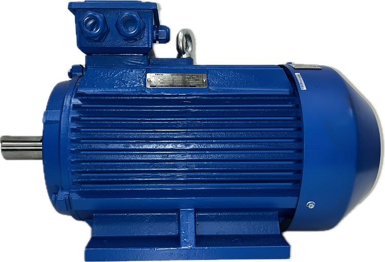 AEEVYY0400757LTL7, TECO Westinghouse